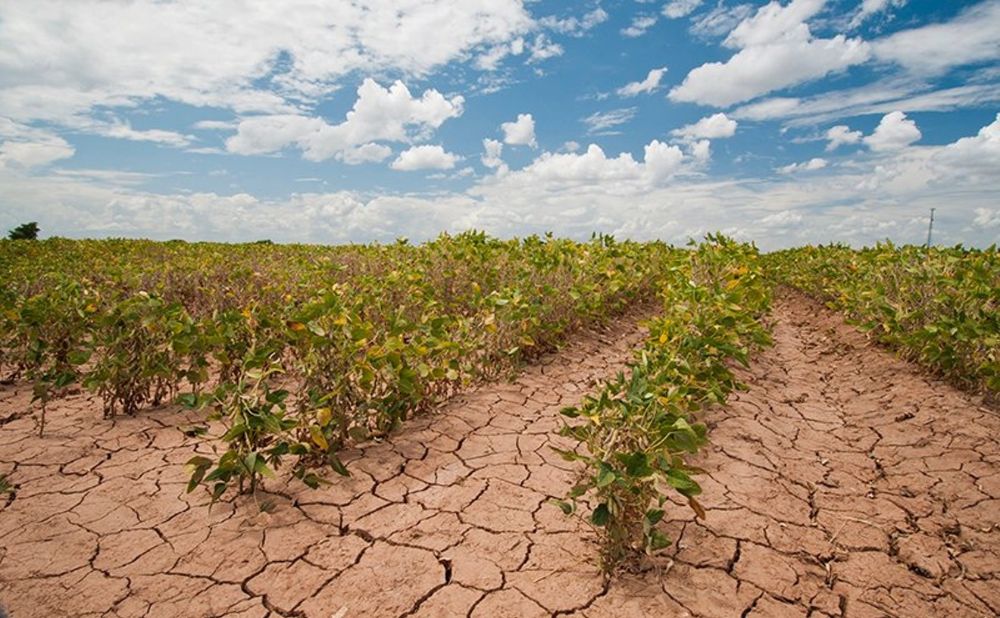 Indian Farmer Challenges
